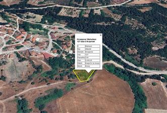 C21 BAL'dan KİRAZPINAR KÖYÜNDE SATILIK 2 DÖNÜM ARSA