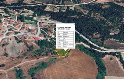 C21 BAL'dan KİRAZPINAR KÖYÜNDE SATILIK 2 DÖNÜM ARSA