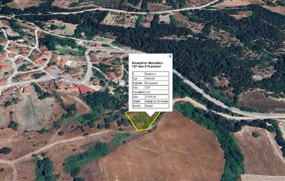 C21 BAL'dan KİRAZPINAR KÖYÜNDE SATILIK 2 DÖNÜM ARSA