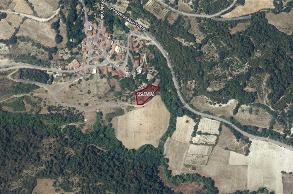 C21 BAL'dan KİRAZPINAR KÖYÜNDE SATILIK 2 DÖNÜM ARSA