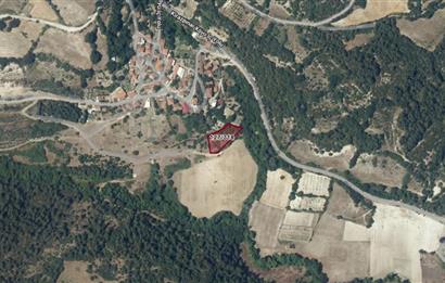 C21 BAL'dan KİRAZPINAR KÖYÜNDE SATILIK 2 DÖNÜM ARSA