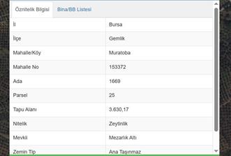 C21 Cius; Muratoba'da Fırsat ZeytinlikYolu Var