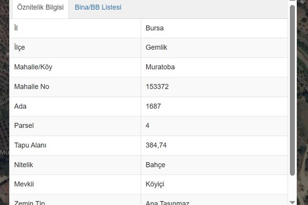 C21 Cius; Muratoba'da 384 m2 Köy İçi İmarlı