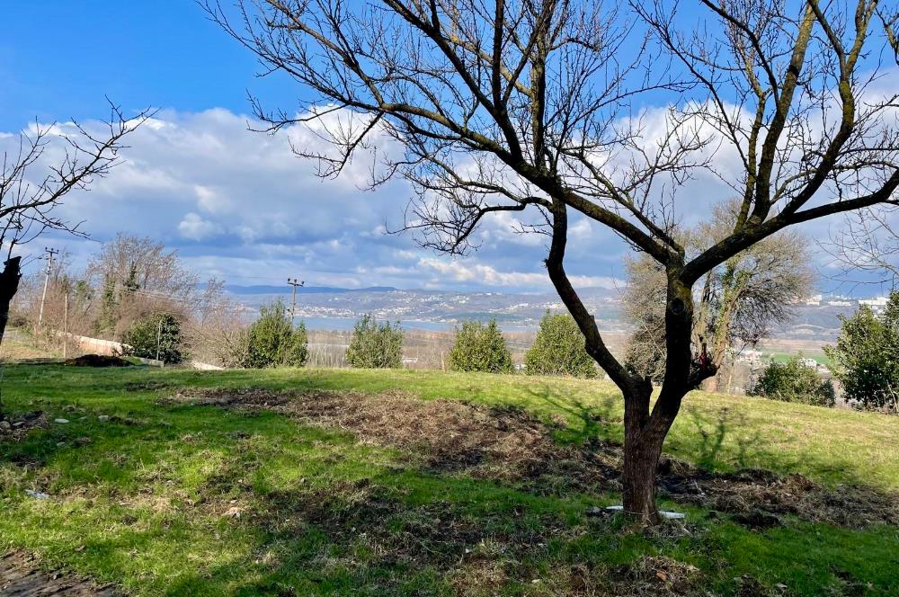 C21’DEN SAPANCA GÖL MANZARALI DOĞAYLA İÇ İÇE İMARLI ARSA