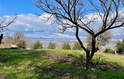 C21’DEN SAPANCA GÖL MANZARALI DOĞAYLA İÇ İÇE İMARLI ARSA