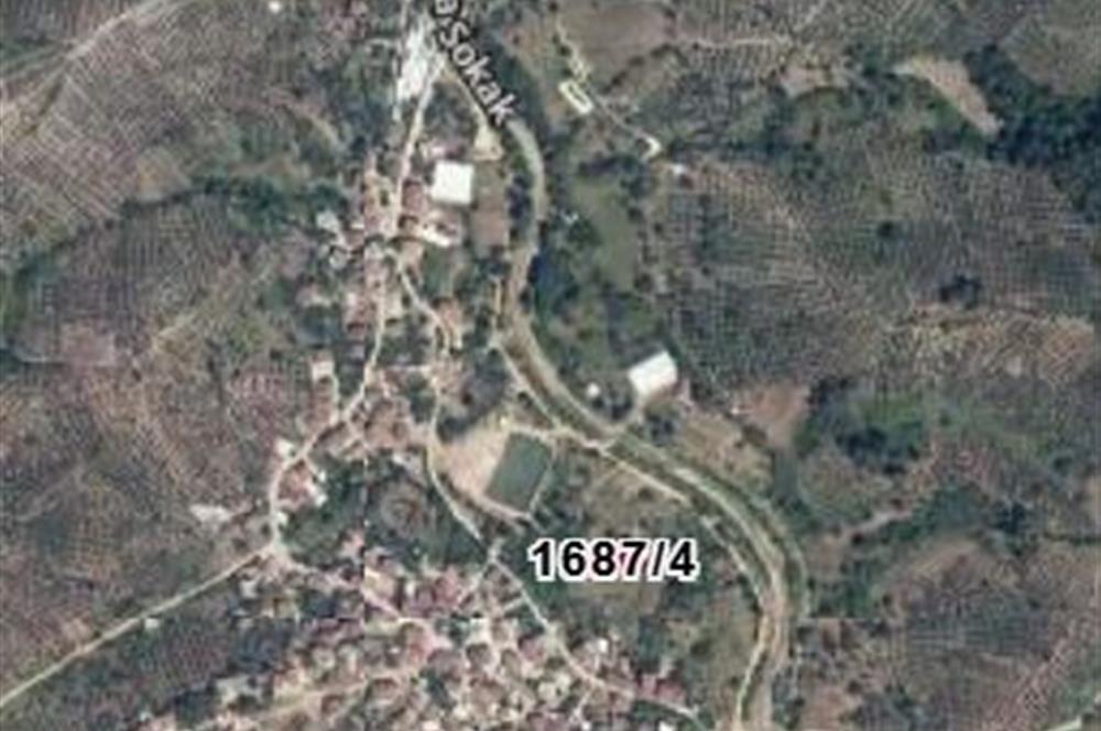 C21 Cius; Muratoba'da 384 m2 Köy İçi İmarlı