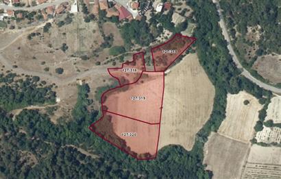 C21 BAL'dan KİRAZPINAR KÖYÜNDE SATILIK 2 DÖNÜM ARSA