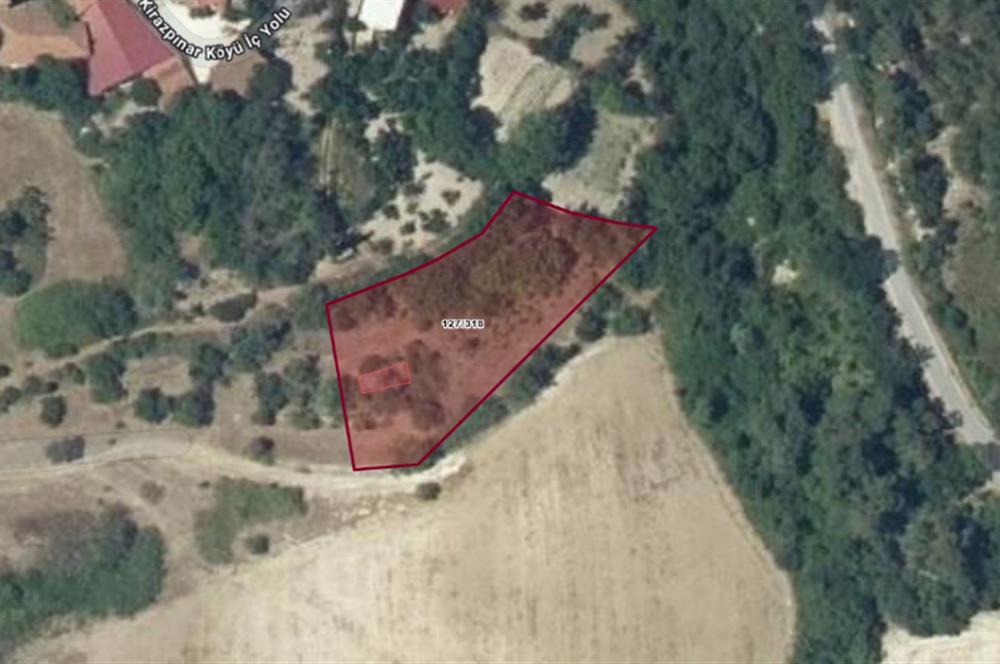 C21 BAL'dan KİRAZPINAR KÖYÜNDE SATILIK 2 DÖNÜM ARSA
