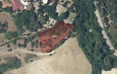 C21 BAL'dan KİRAZPINAR KÖYÜNDE SATILIK 2 DÖNÜM ARSA