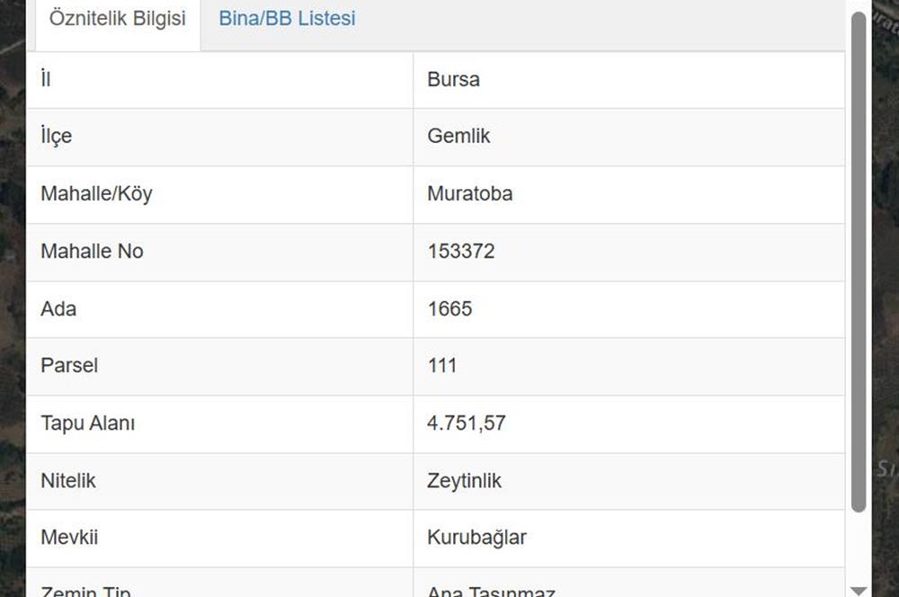 C21 Cius; Muratoba'da Fırsat Zeytinlik 4751 m2