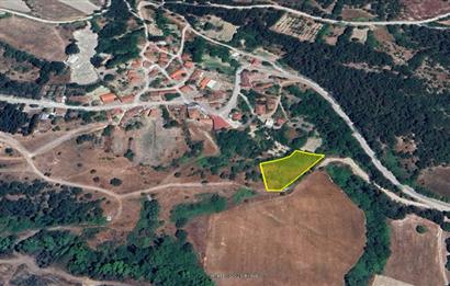 C21 BAL'dan KİRAZPINAR KÖYÜNDE SATILIK 2 DÖNÜM ARSA
