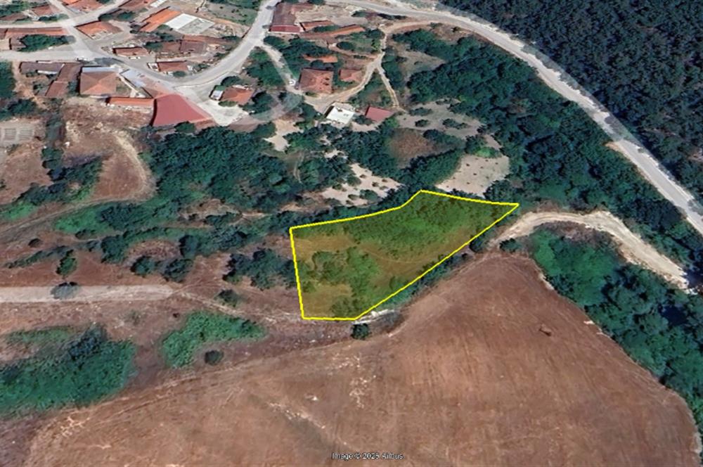 C21 BAL'dan KİRAZPINAR KÖYÜNDE SATILIK 2 DÖNÜM ARSA