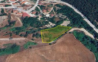 C21 BAL'dan KİRAZPINAR KÖYÜNDE SATILIK 2 DÖNÜM ARSA