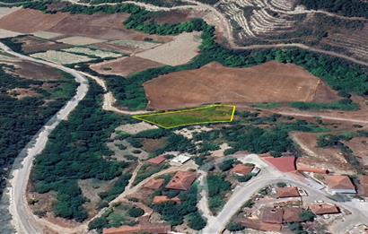 C21 BAL'dan KİRAZPINAR KÖYÜNDE SATILIK 2 DÖNÜM ARSA