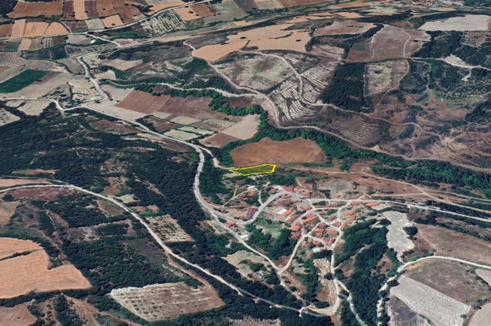 C21 BAL'dan KİRAZPINAR KÖYÜNDE SATILIK 2 DÖNÜM ARSA