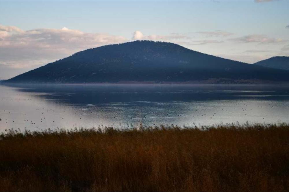 Satılık Tarla - Türkiyenin Tek Ada Köyü Mada Adası'nda!