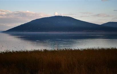 Satılık Tarla - Türkiyenin Tek Ada Köyü Mada Adası'nda!