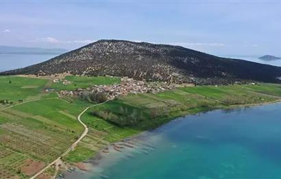 Satılık Tarla - Türkiyenin Tek Ada Köyü Mada Adası'nda!