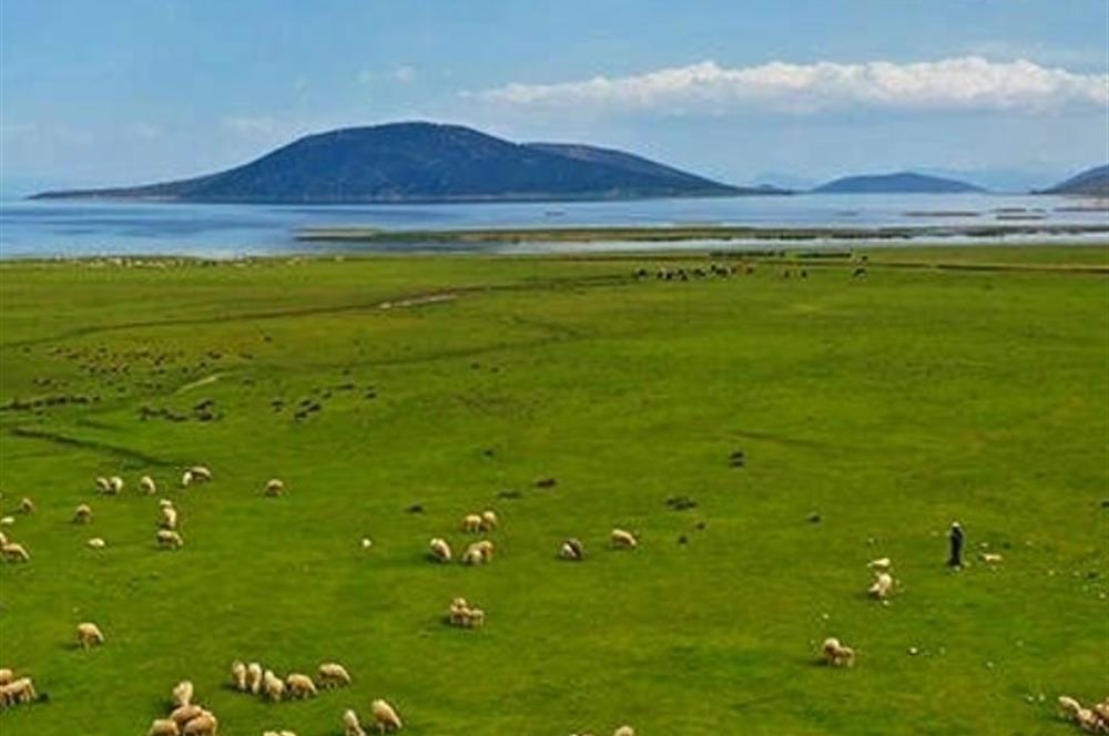 Satılık Tarla - Türkiyenin Tek Ada Köyü Mada Adası'nda!
