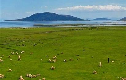 Satılık Tarla - Türkiyenin Tek Ada Köyü Mada Adası'nda!