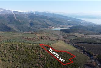 C21Cius; Büyükkumla'da Yatırımlık 11,074 M2 Satılık Tarla