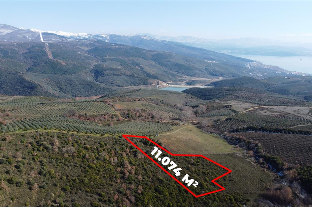 C21Cius; Büyükkumla'da Yatırımlık 11,074 M2 Satılık Tarla