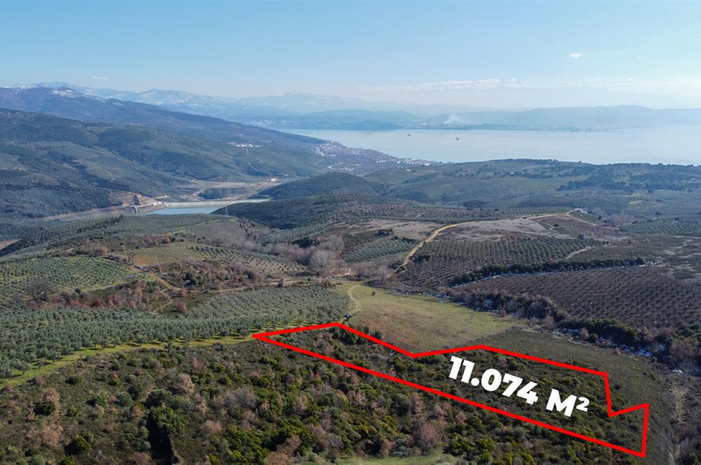 C21Cius; Büyükkumla'da Yatırımlık 11,074 M2 Satılık Tarla
