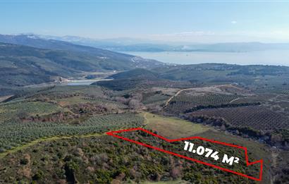 C21Cius; Büyükkumla'da Yatırımlık 11,074 M2 Satılık Tarla