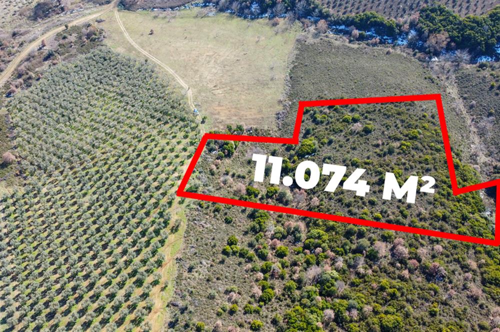 C21Cius; Büyükkumla'da Yatırımlık 11,074 M2 Satılık Tarla