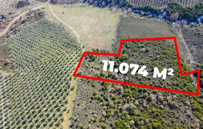 C21Cius; Büyükkumla'da Yatırımlık 11,074 M2 Satılık Tarla