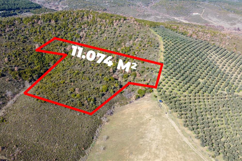 C21Cius; Büyükkumla'da Yatırımlık 11,074 M2 Satılık Tarla