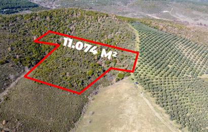C21Cius; Büyükkumla'da Yatırımlık 11,074 M2 Satılık Tarla