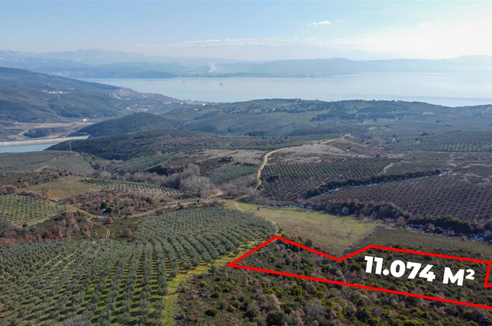 C21Cius; Büyükkumla'da Yatırımlık 11,074 M2 Satılık Tarla