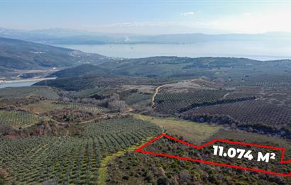 C21Cius; Büyükkumla'da Yatırımlık 11,074 M2 Satılık Tarla