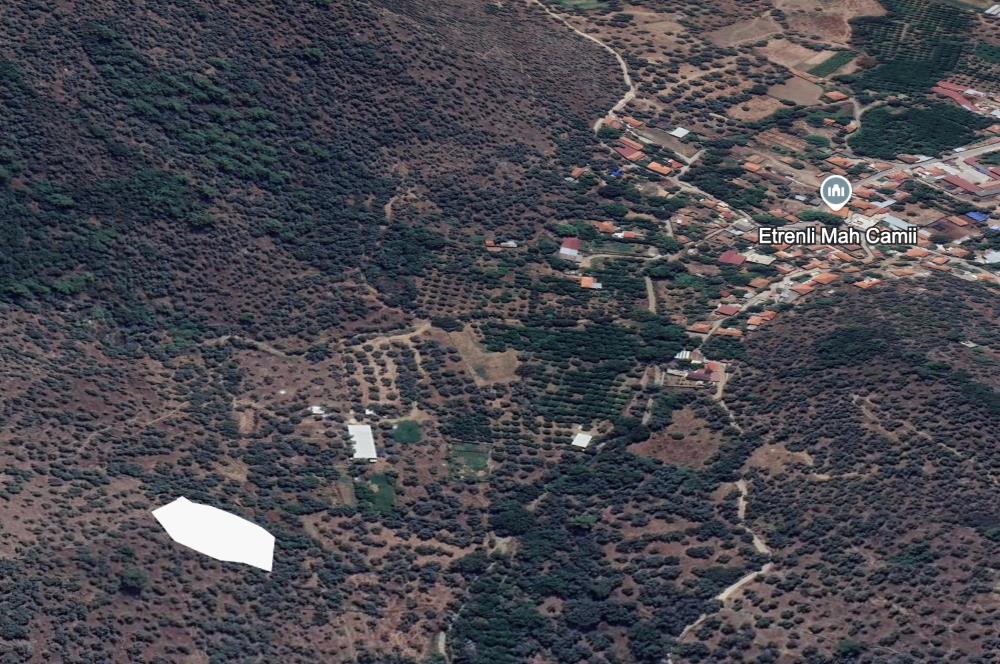 Milas Etrenli Köyü Zeytinlik Satılık Arsa