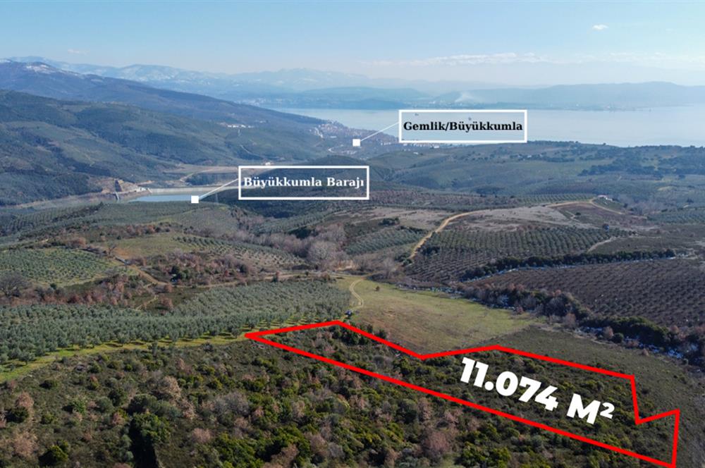 C21Cius; Büyükkumla'da Yatırımlık 11,074 M2 Satılık Tarla