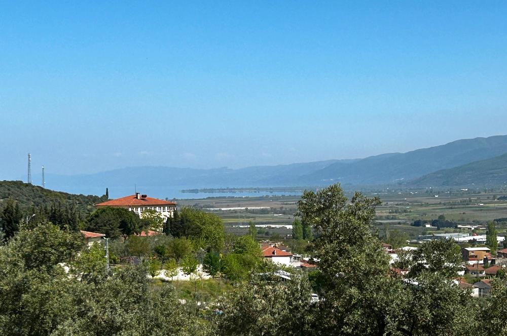C21 Cius; Gedelek Muhteşem Doğa ve Göl Manzaralı Zeytinlik