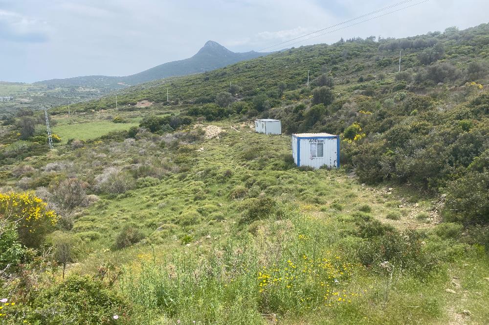 Karaburun da kapanmaz deniz manzaralı Tarla