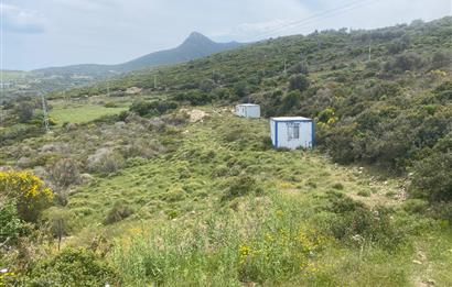 Karaburun da kapanmaz deniz manzaralı Tarla