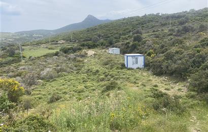 Karaburun da kapanmaz deniz manzaralı Tarla