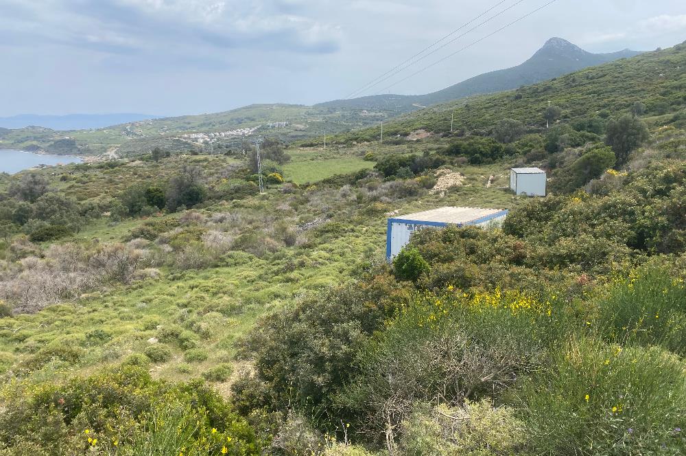 Karaburun da kapanmaz deniz manzaralı Tarla