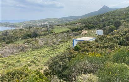 Karaburun da kapanmaz deniz manzaralı Tarla