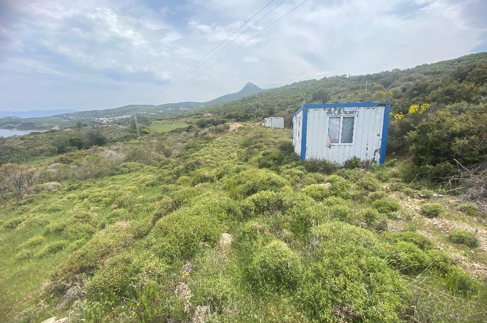 Karaburun da kapanmaz deniz manzaralı Tarla