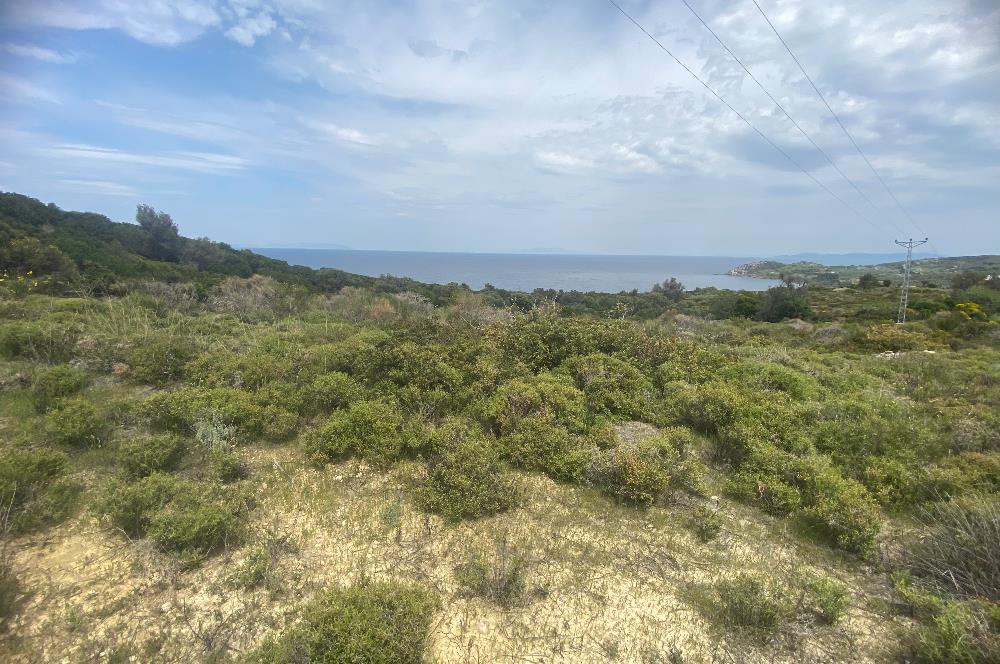 Karaburun da kapanmaz deniz manzaralı Tarla