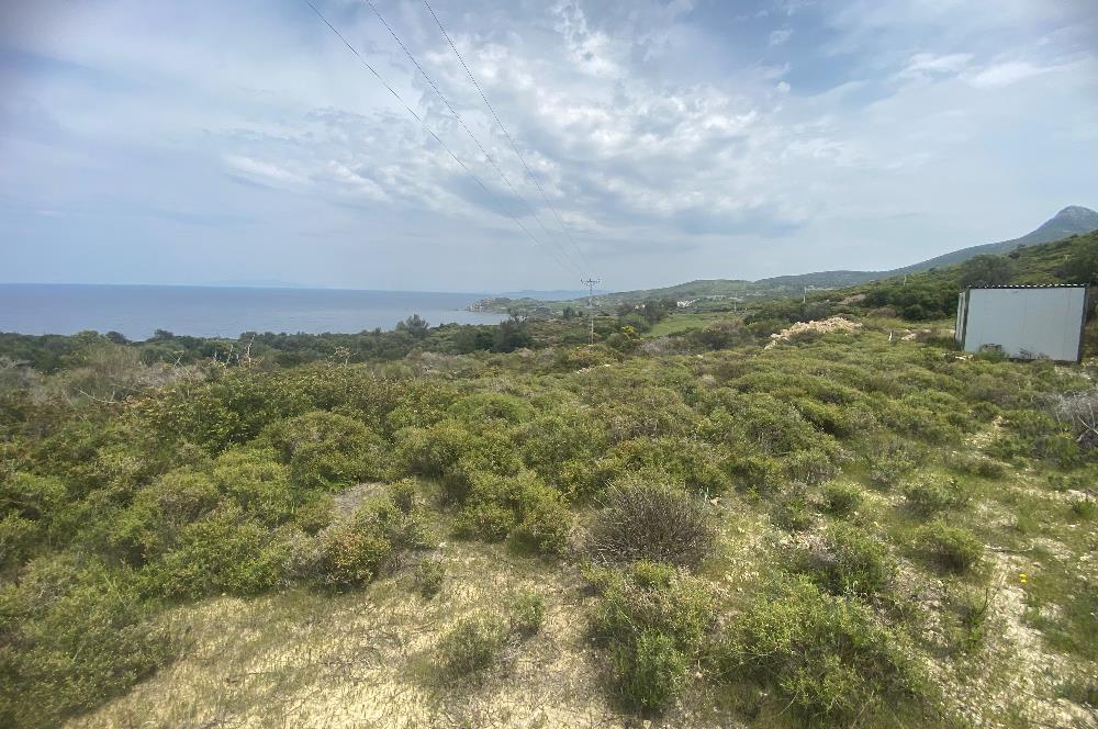 Karaburun da kapanmaz deniz manzaralı Tarla
