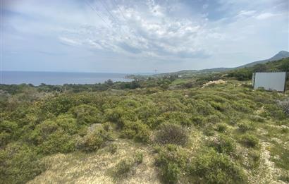 Karaburun da kapanmaz deniz manzaralı Tarla
