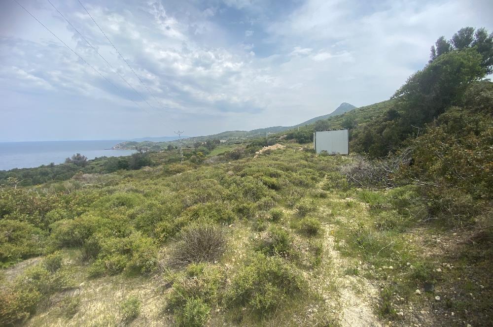 Karaburun da kapanmaz deniz manzaralı Tarla