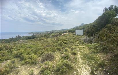 Karaburun da kapanmaz deniz manzaralı Tarla