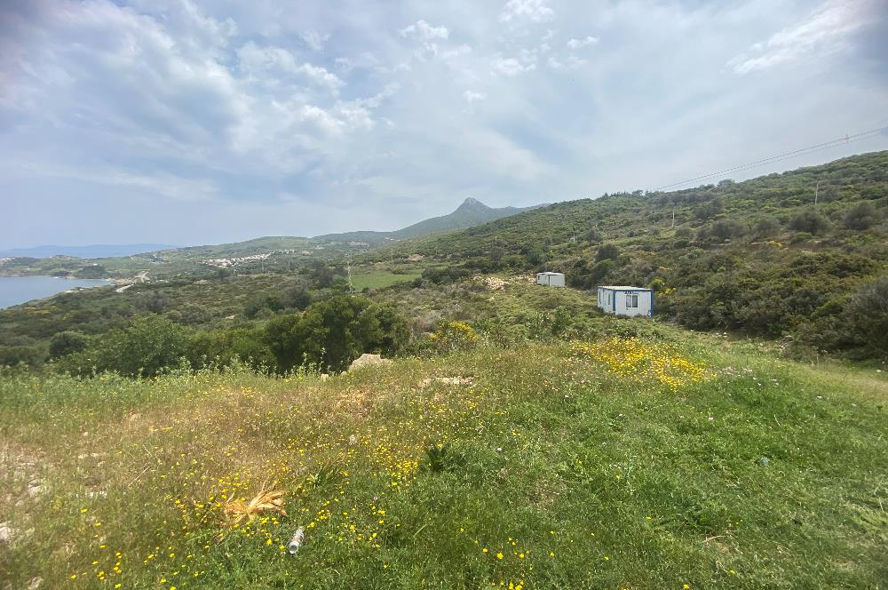 Karaburun da kapanmaz deniz manzaralı Tarla
