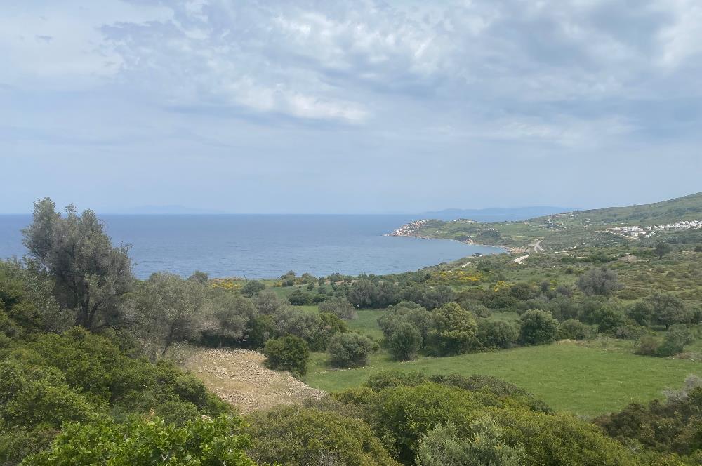 Karaburun da kapanmaz deniz manzaralı Tarla